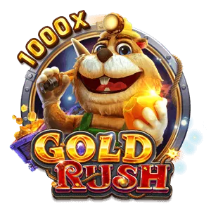 Exclusive Bonuses
